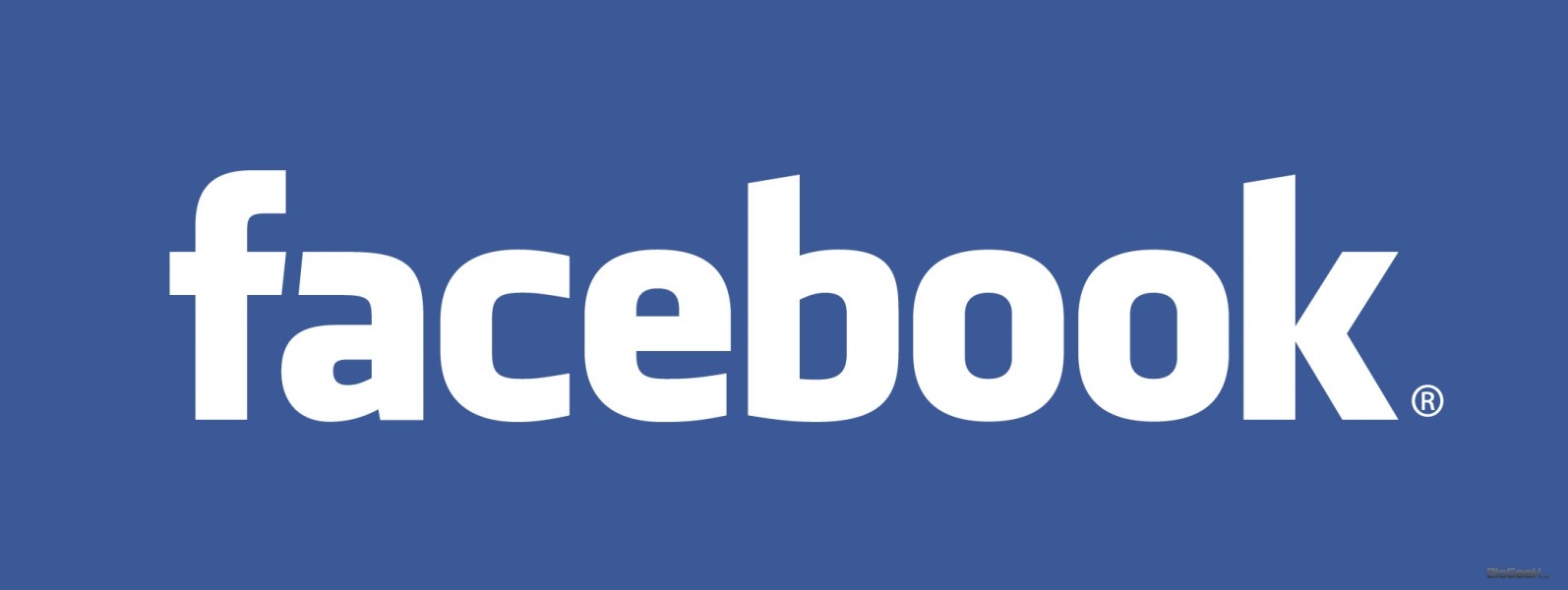 Facebook: statistiche da capogiro
